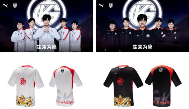 球迷在类似 球迷在类似