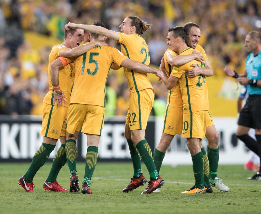 灰熊需用弱 灰熊需用弱